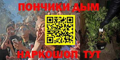 шишки Моздок