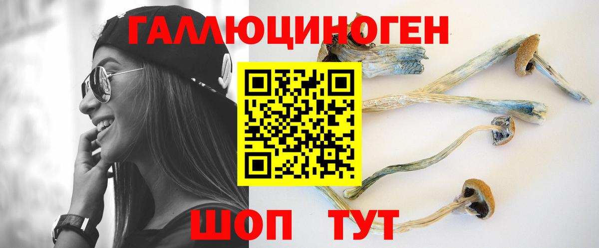 Галлюциногенные грибы Psilocybe Азов